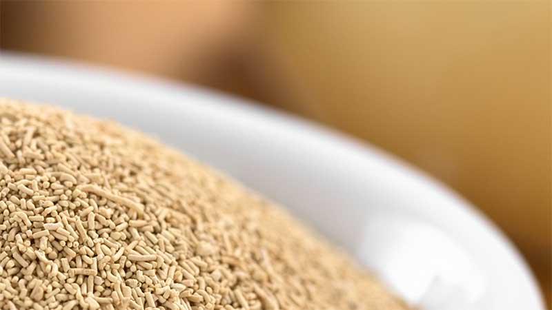 Yeast