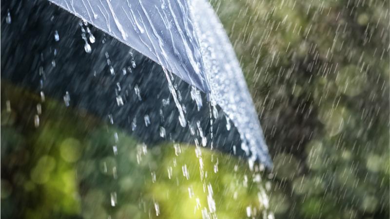 Umbrella in rain
