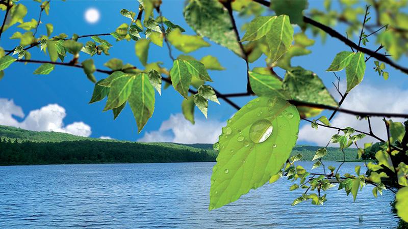 Environmental Impacts/Why Measure CO2