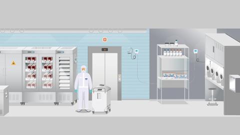 hydrogen peroxide vapor decontamination