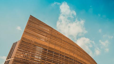 Holzfeuchte und Holztrocknung – ein Balanceakt