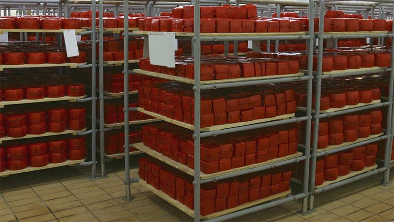 Cheese on shelves in warehouse