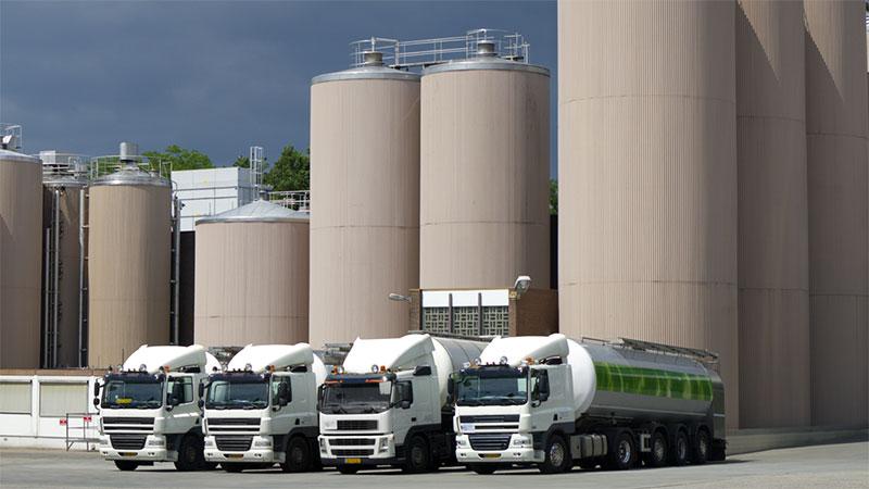 Milk powder plant