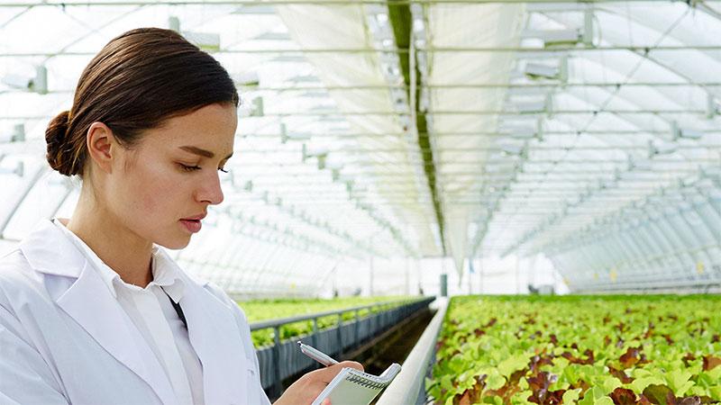 Greenhouse and agricultural engineer