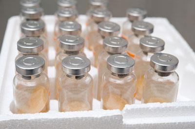 Shipment of medicine