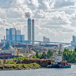 Pulp mill