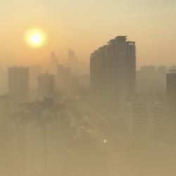 Smog in the city